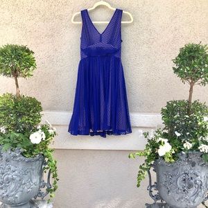 Anthropologie Periwinkle Polka Dot Dress! Size 6